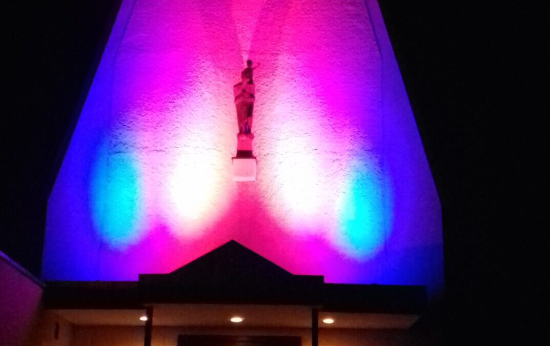 Holzen: Indoormarkt statt Baumverkauf