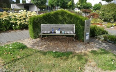 Friedensbank im Winter in der Stadtbücherei