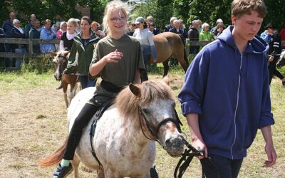 Ab dem 12. Januar anmelden für die Reiterferien!