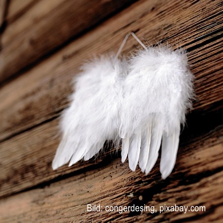 congerdesign-feathers-4661245_640